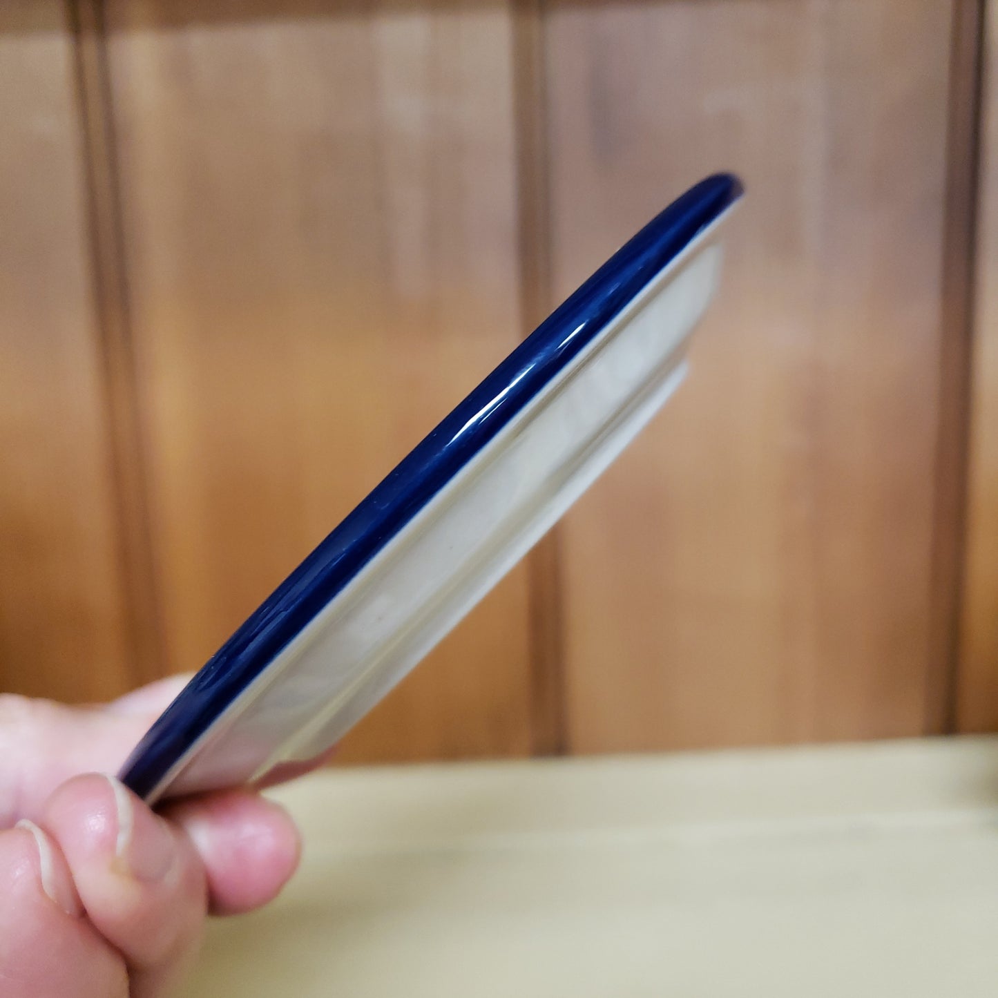 Christmas Tree Luminary ~ 7" H 1413X ~ Huckleberry