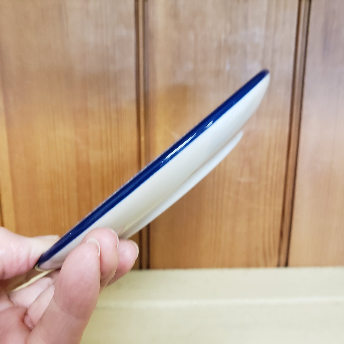 Plate ~ Bread & Butter ~ 6.25" 261-2993X Sea Breeze pf0608 Sail boat tapas appetizer