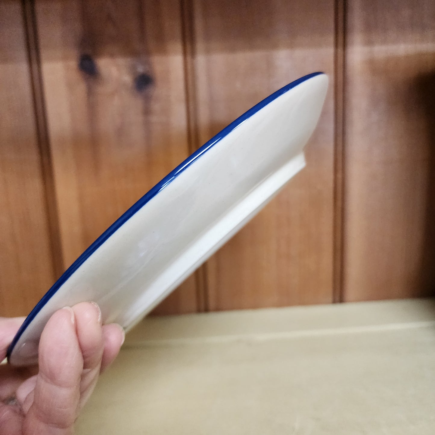 Plate ~ Sandwich 8.5" Hedgie as71