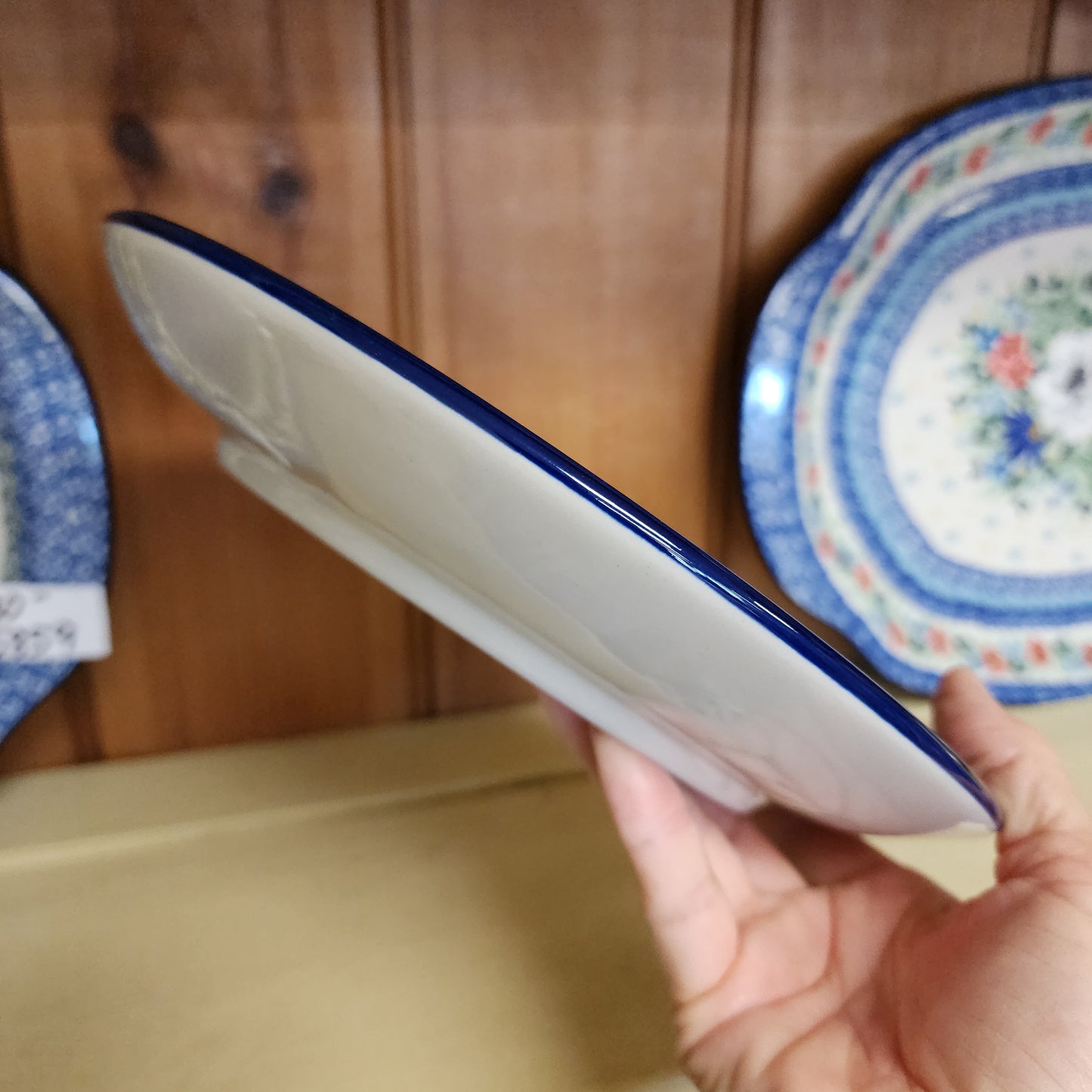 Plate Dinner 10" 2333X ~ Blue Horizon