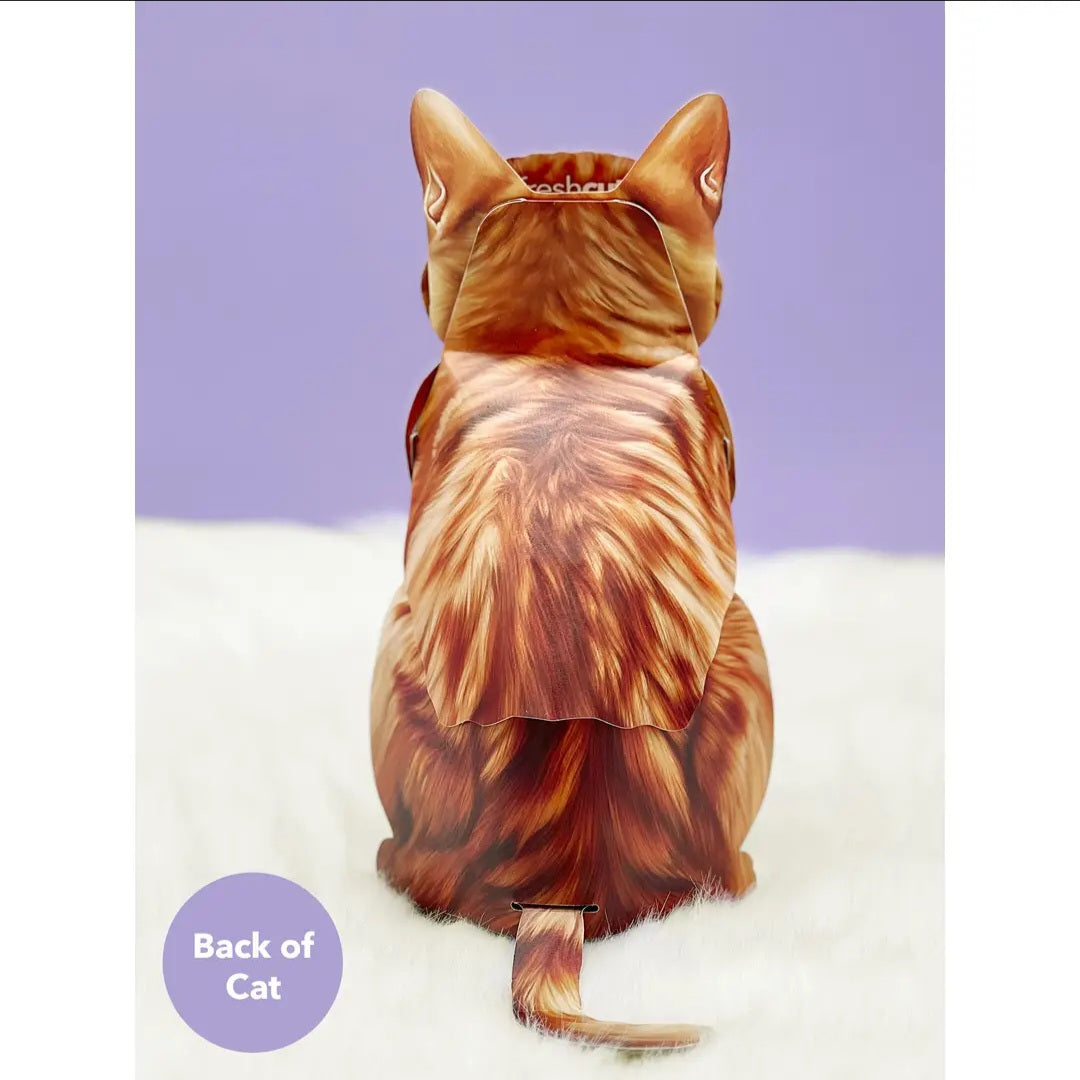 Card ~ Tabby Cat w/accessories pop up card