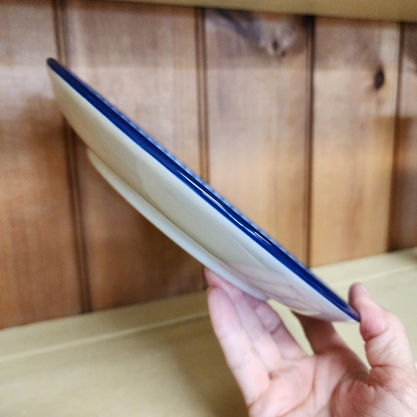 Plate Dinner 10" 2273X ~ Winter Viola