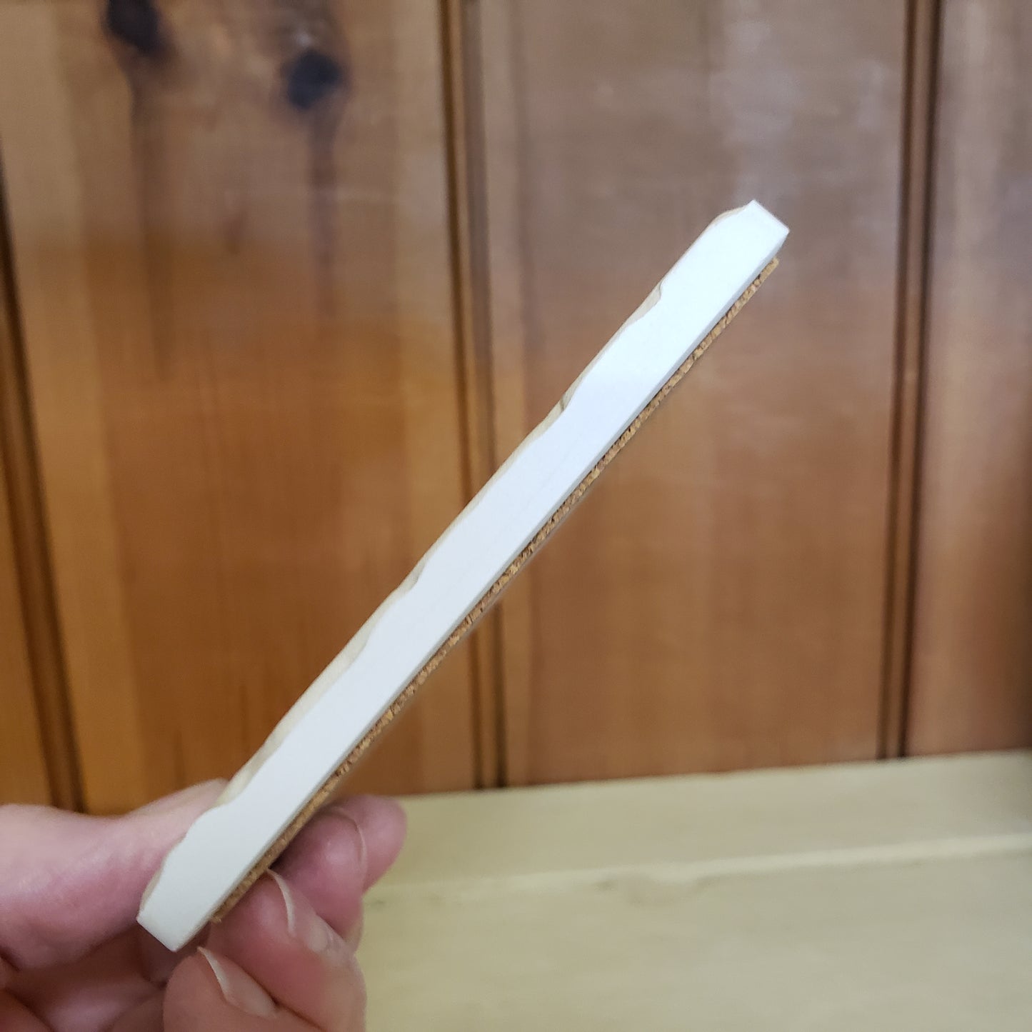 Coaster ~ German Shepherd dog