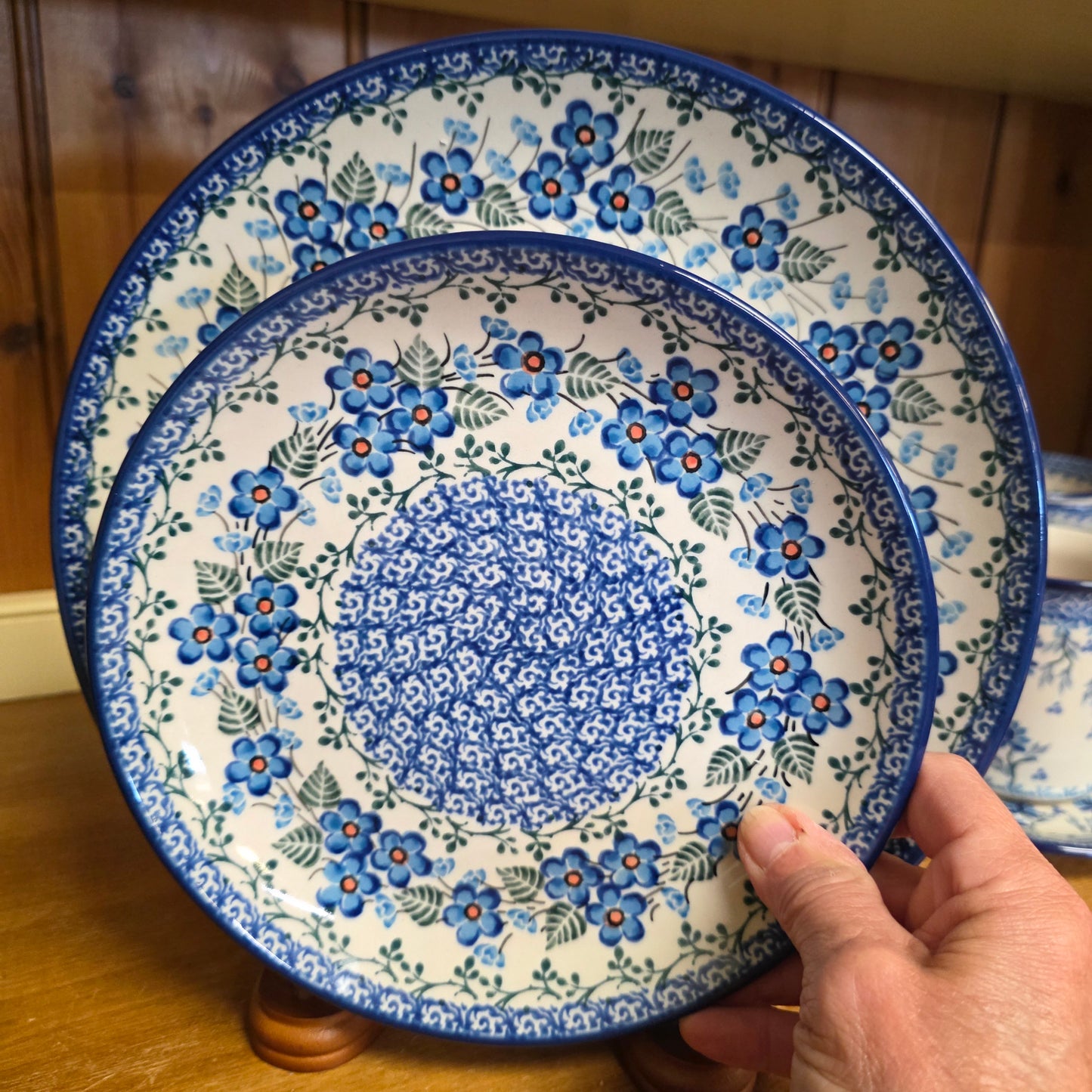 2 pc Plate ~ Parisian Posies Save $10