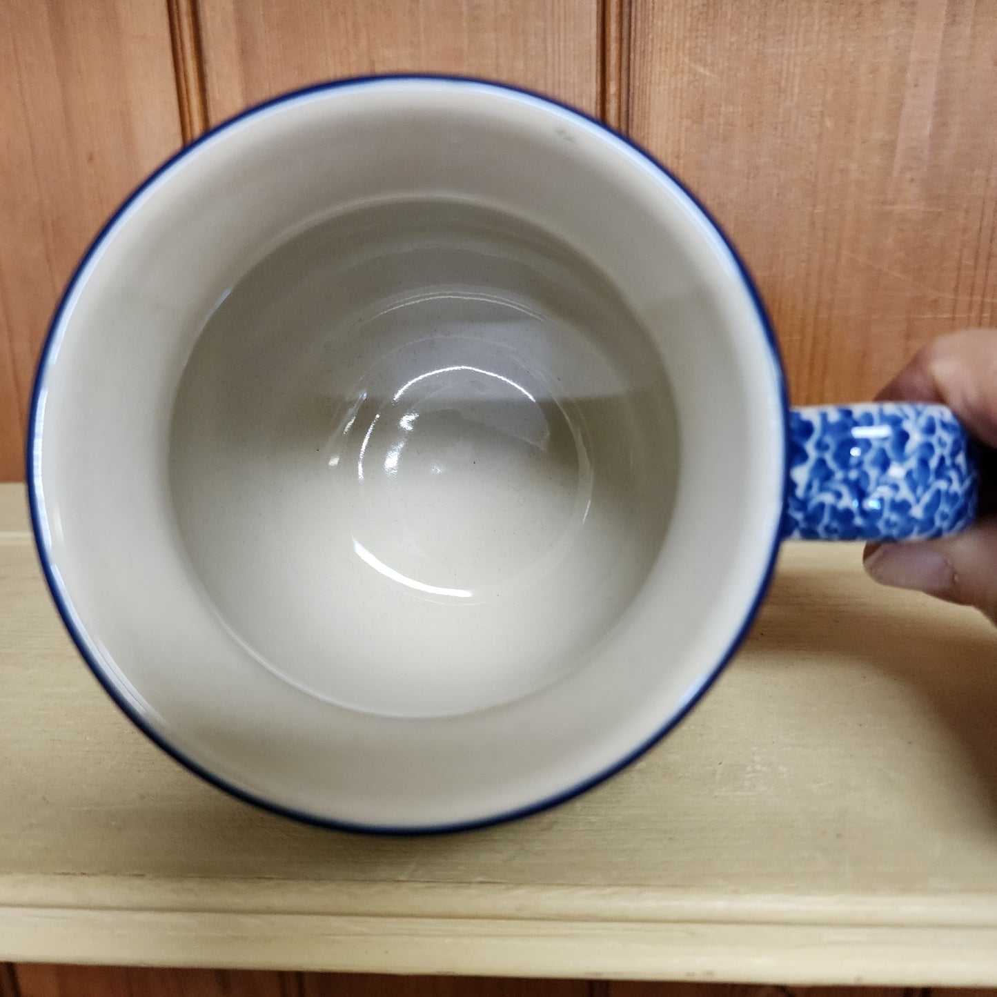 Mug Bubble 16 oz. 1513X ~ Peacock Feather