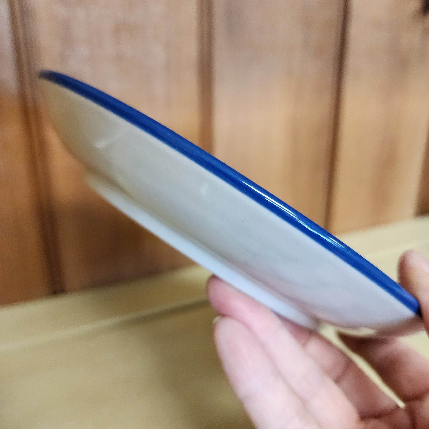 Plate 7.75" Dessert 2540X ~ Rainbow Fish