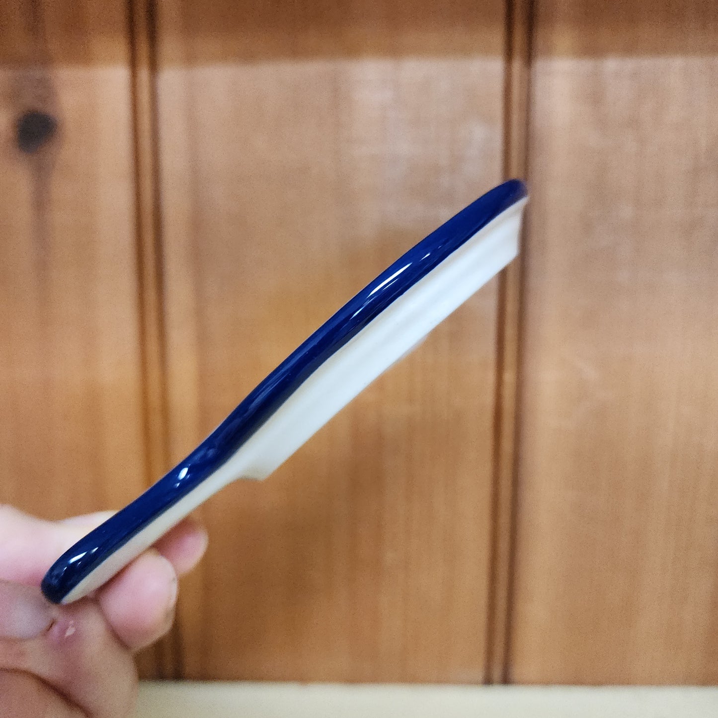 Dish Fish Shape 1316X ~ By the Sea