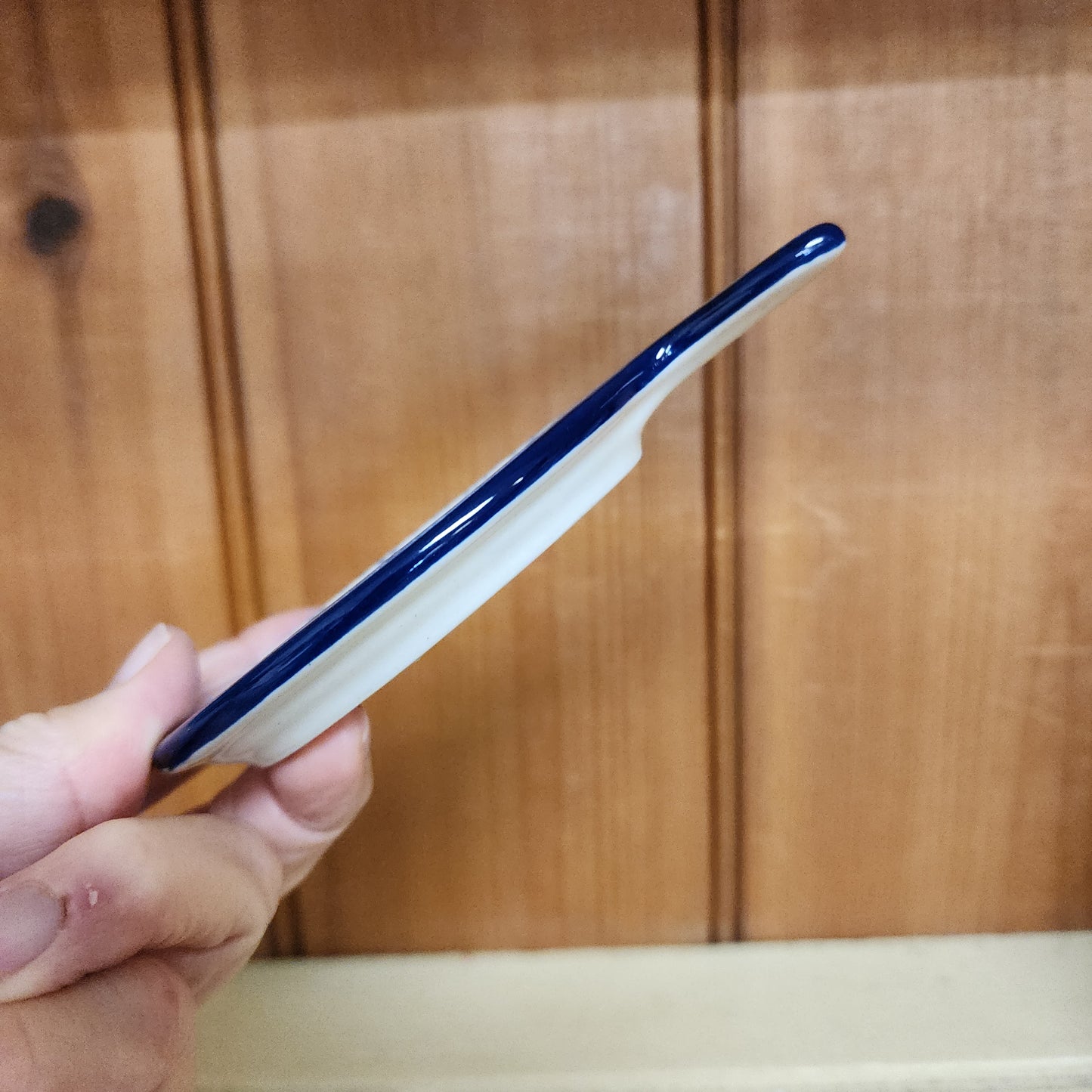 Dish Fish Shape 1771X ~ Boo Boo Kitty