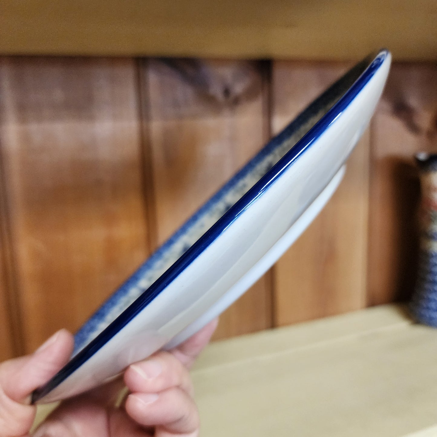 Plate Dinner 10" 2524X ~ Clover Fields