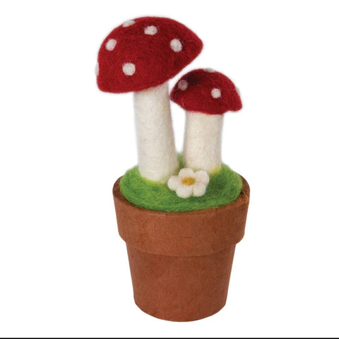 Woolies ~ Mushroom potted Red