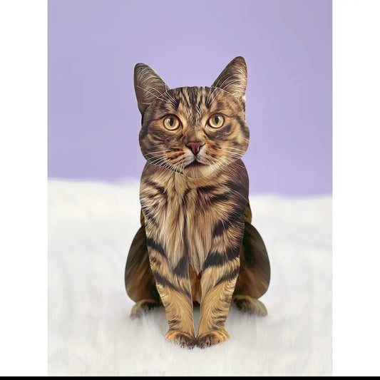 Card ~ Brown Tabby Cat w/accessories pop up card
