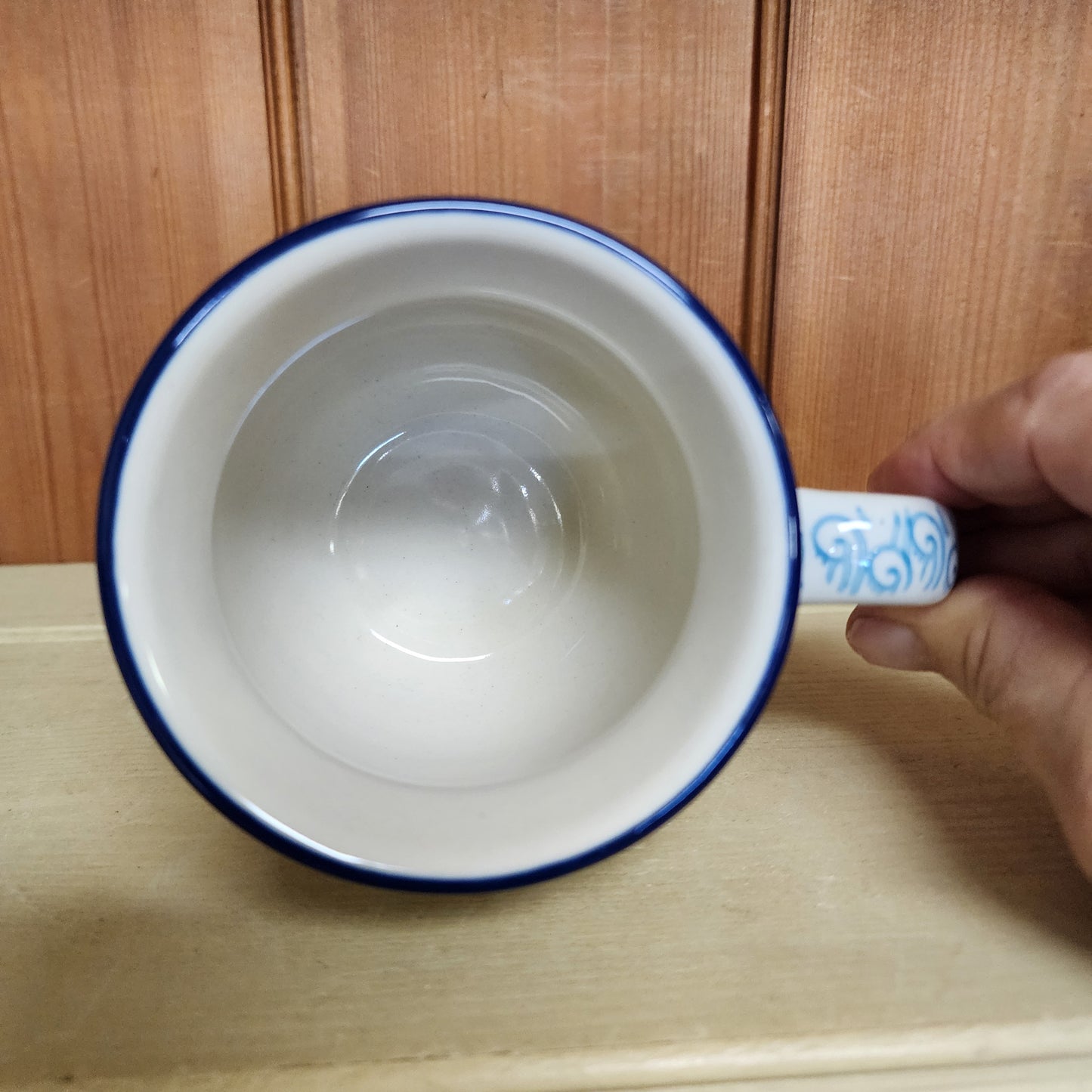 Mug   Bubble   11 oz.   2540X ~ Rainbow Fish