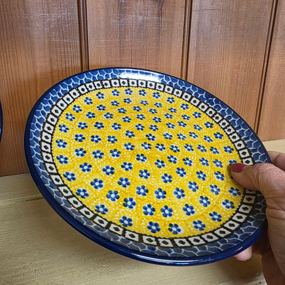 Plate ~ 7.75" 0859X ~ Sunburst
