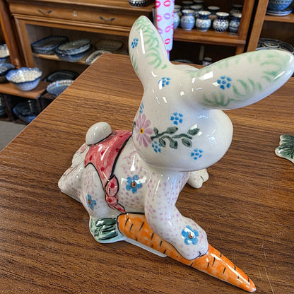 Bunny laying down with carrot