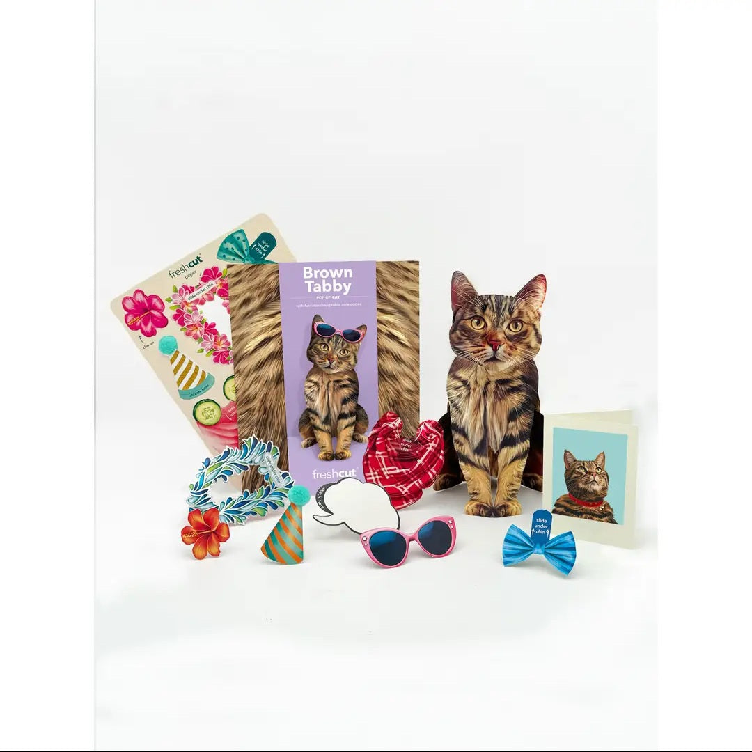 Card ~ Brown Tabby Cat w/accessories pop up card