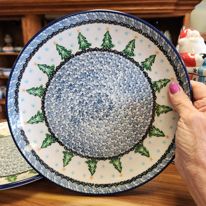 Plate ~ Dinner ~  10" 257-1719X pf0425