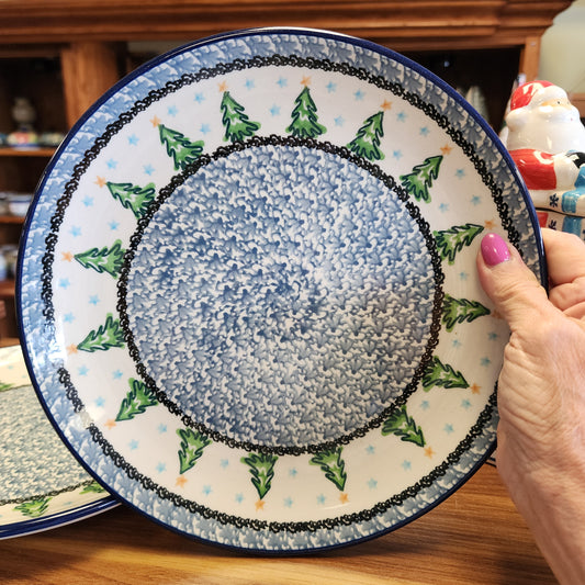 Plate ~ Dinner ~  10" 257-1719X pf0425