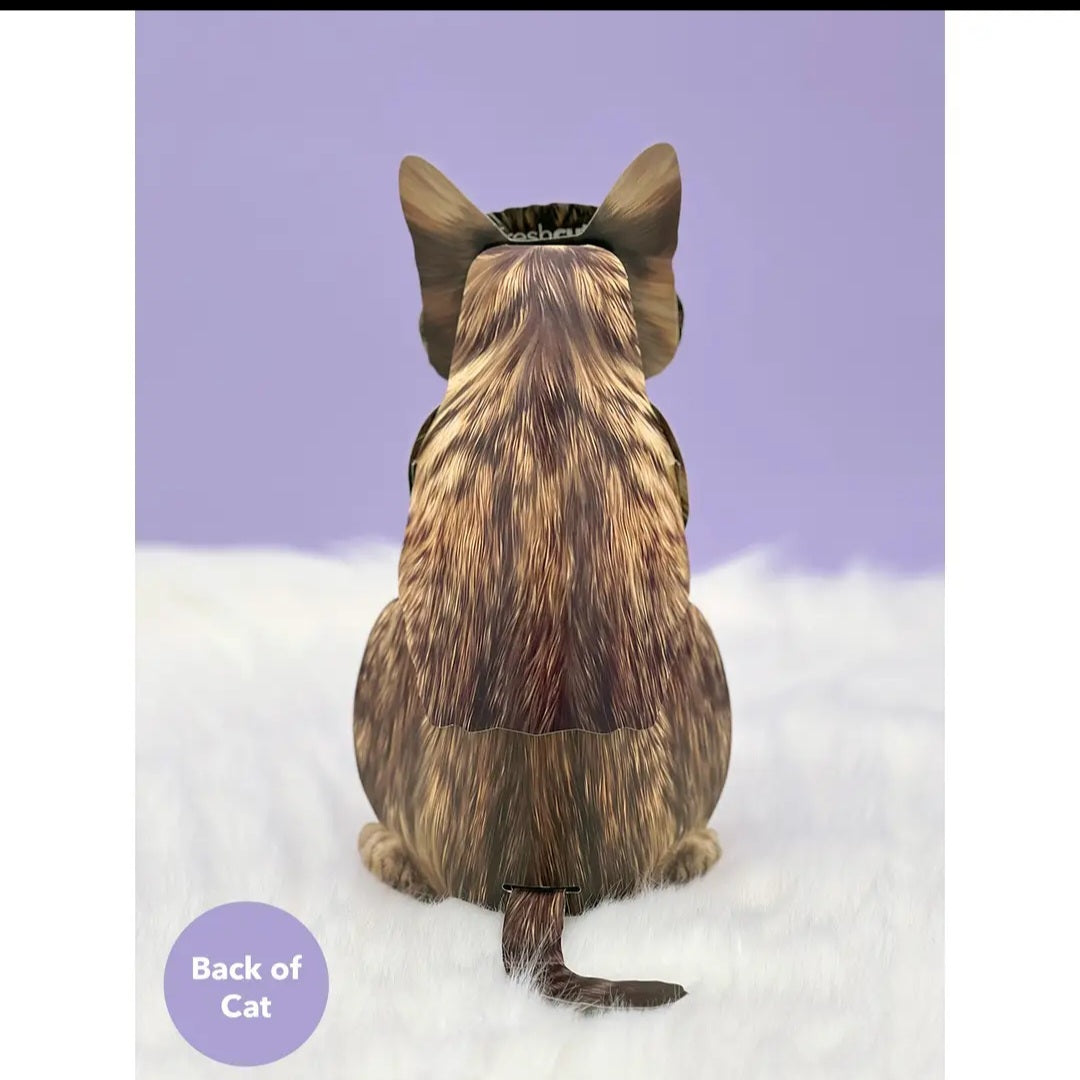 Card ~ Brown Tabby Cat w/accessories pop up card