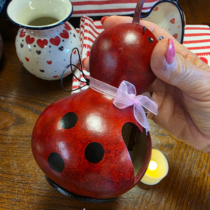 Gourd ~ Love Bug