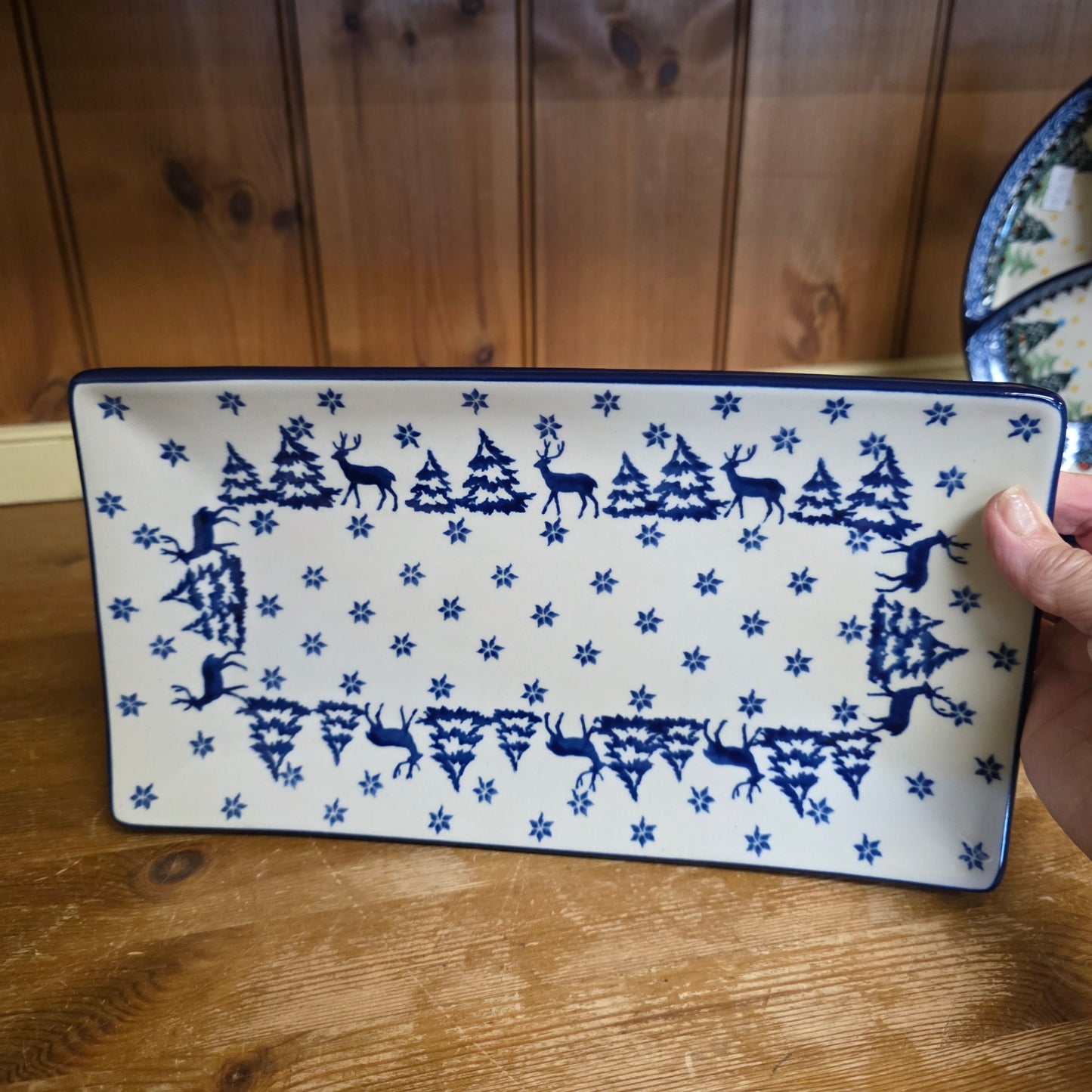 Sushi Plate Rectangular Tray ~ 11.8x6.5"    C26-1931X  Snowy Pines pf0526