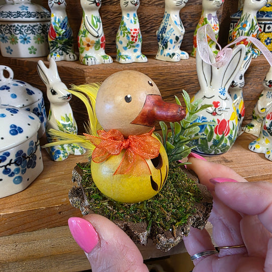Gourd ~ Dillard Duck Scene Mini