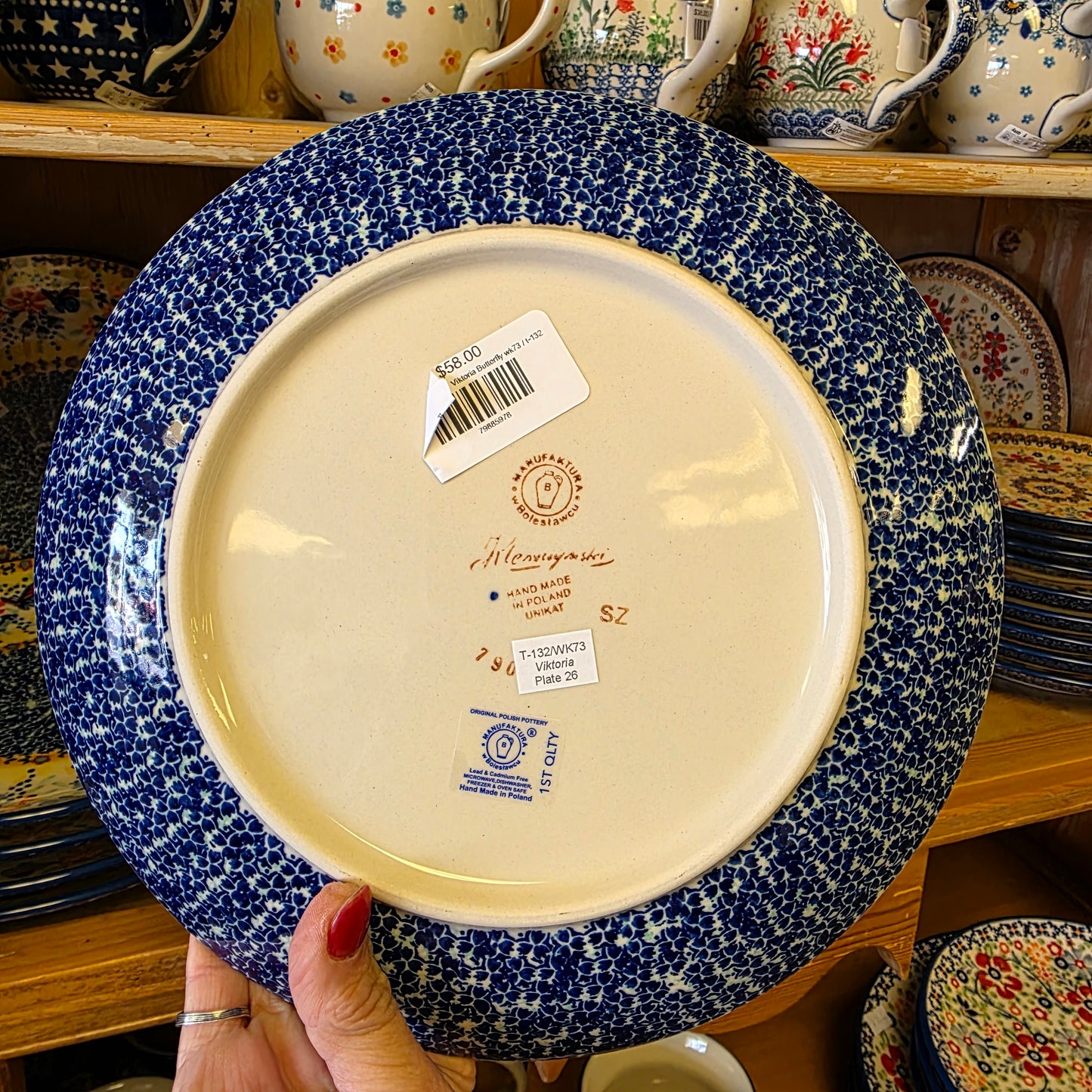 Plate ~ Dinner 10"  Viktoria Butterfly wk73