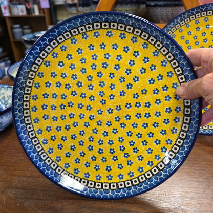 Plate   Dinner   10" 257-0859X  Sunburst pf0526