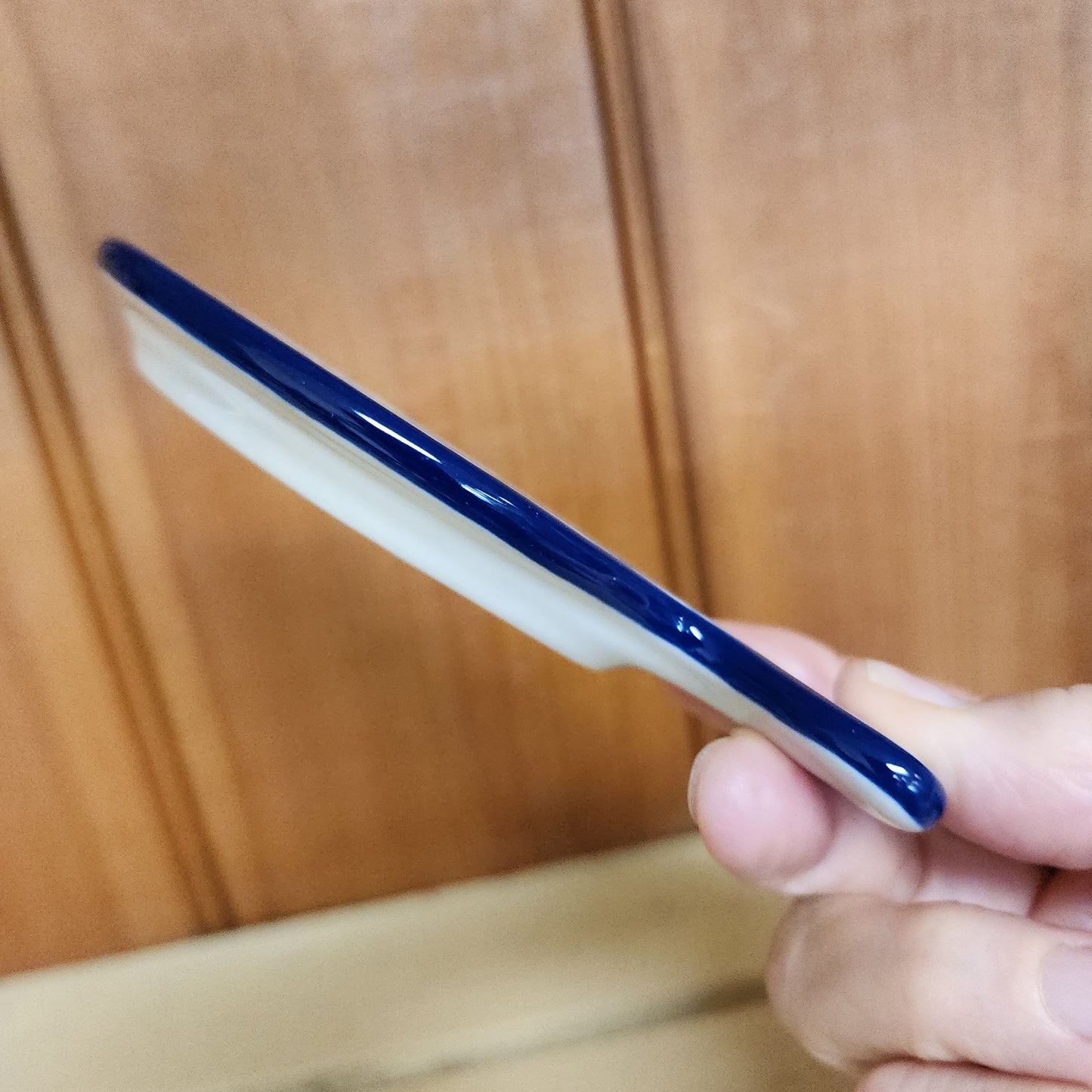 Dish   Fish Shape    2540X ~ Rainbow Fish