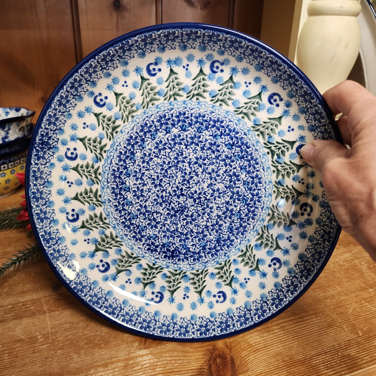 Plate ~ Rimmed ~ 9" 302-1674X Winter Moon