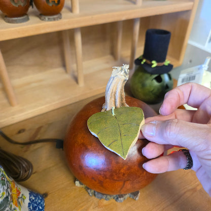 Gourd - Lucas Lit with electric light