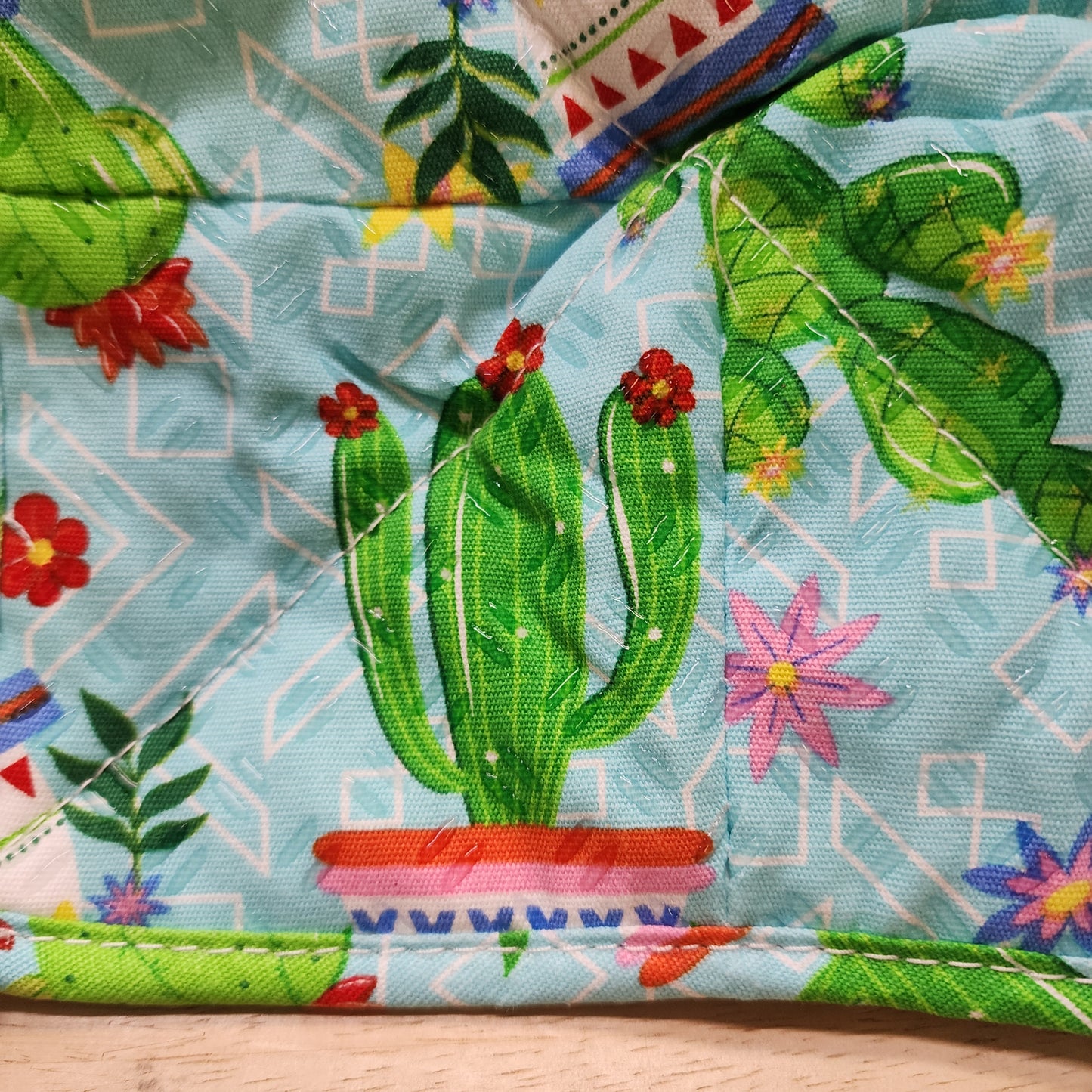 Cozy for BOWLS and small plates Cactus