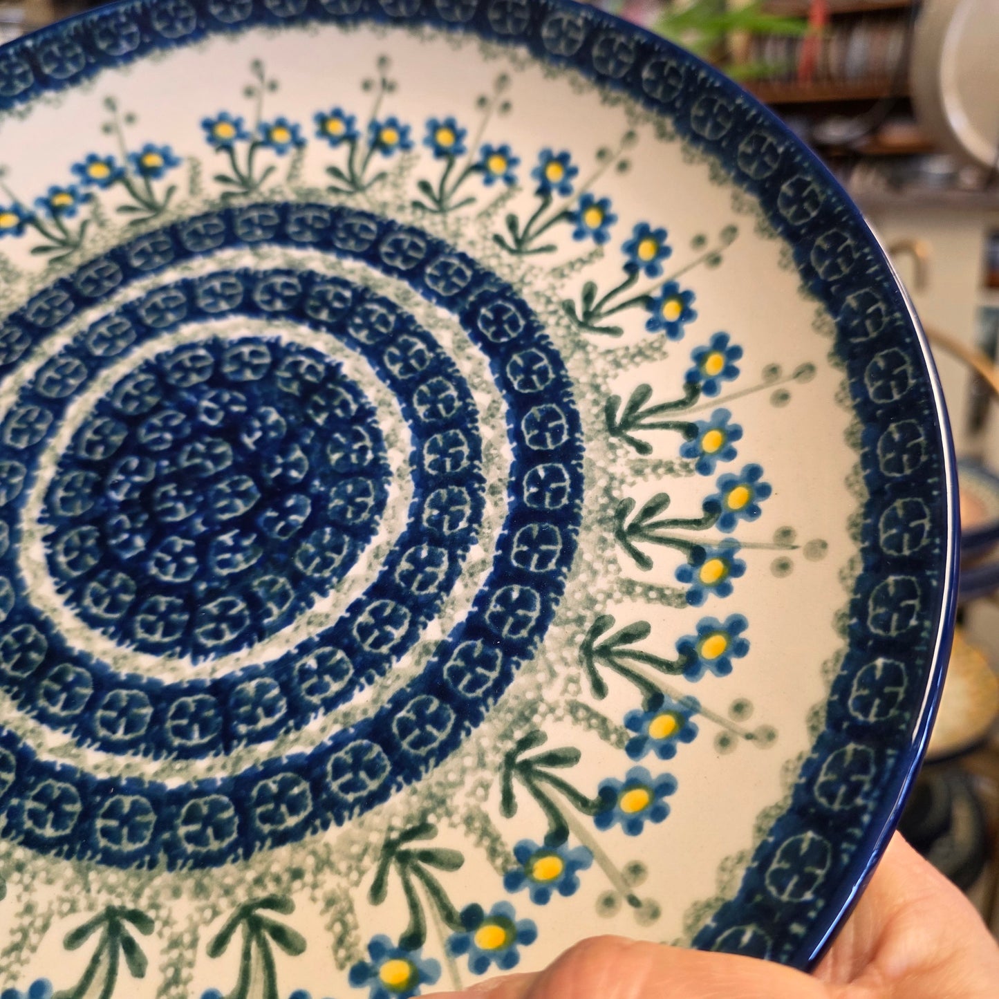 Plate   Dinner   10" 257-614  Blue Spring Daisy