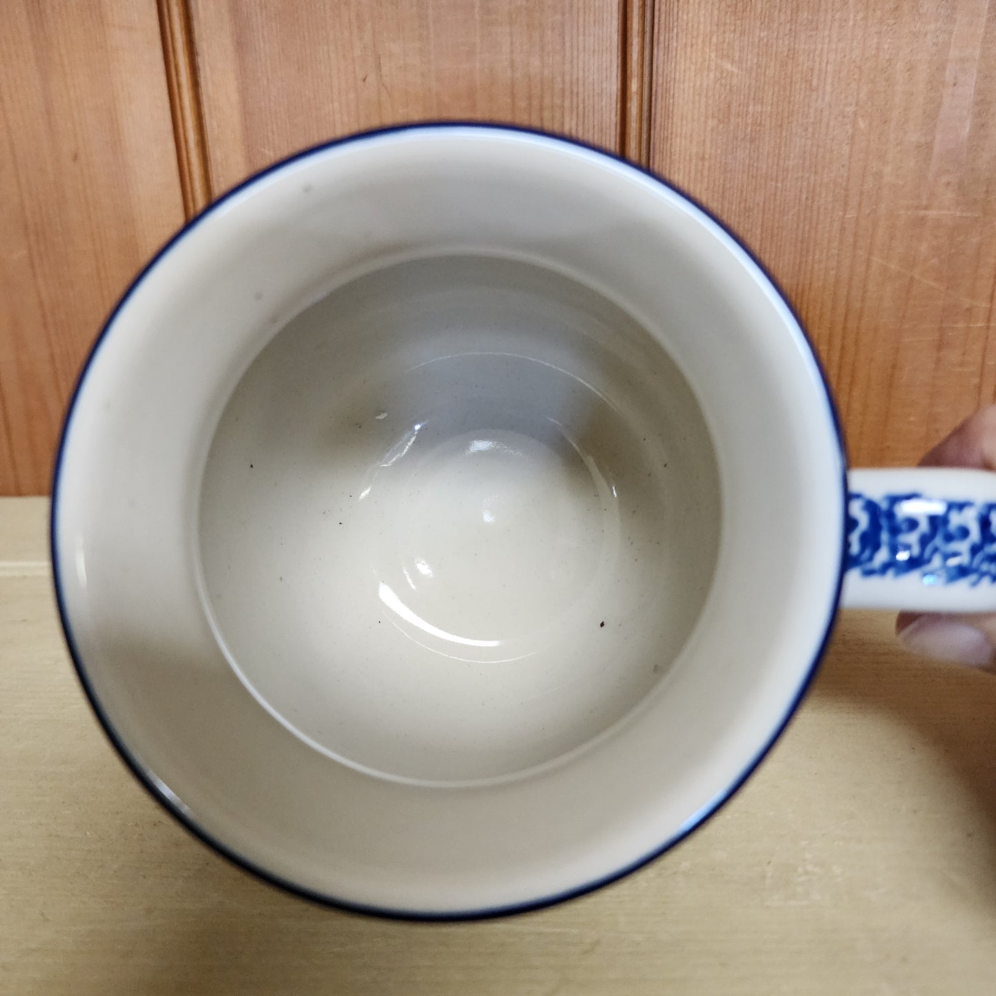 Mug   Bubble   16 oz.   2273X ~ Winter Viola