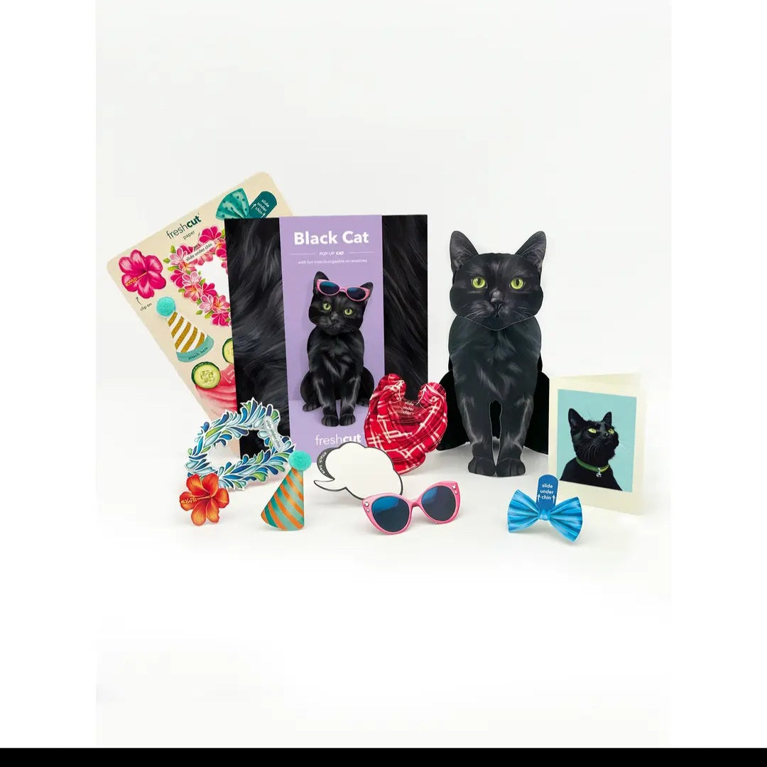 Card ~ Black Cat w/accessories pop up card