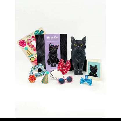 Card ~ Black Cat w/accessories pop up card