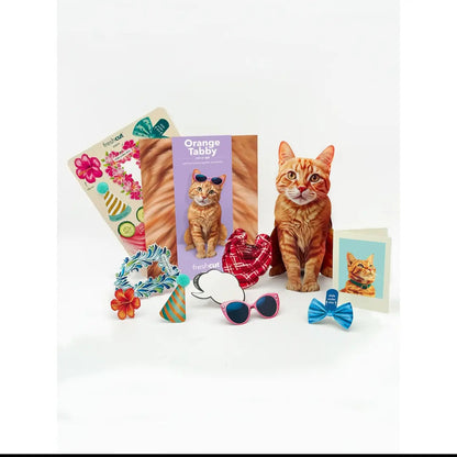 Card ~ Tabby Cat w/accessories pop up card