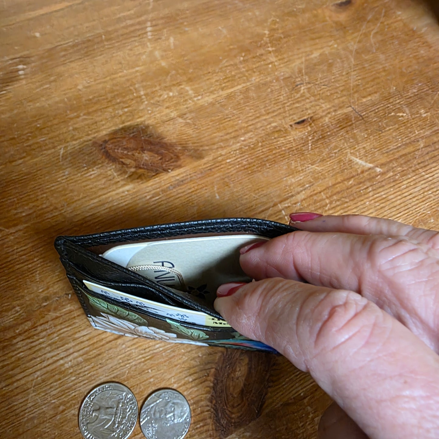 Anuschka ~ Credit Card Case Black / Hummingbird