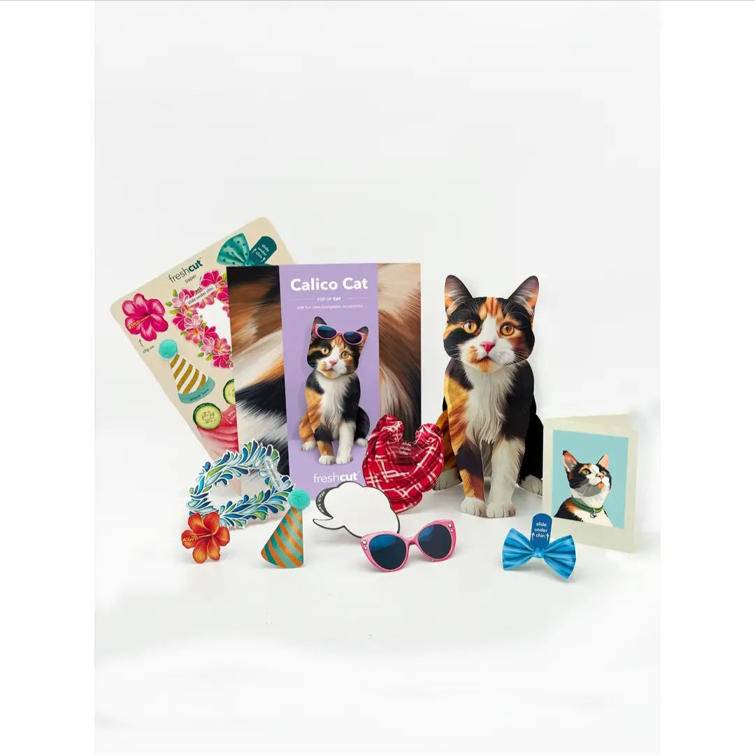 Card ~ Calico Cat w/accessories pop up card