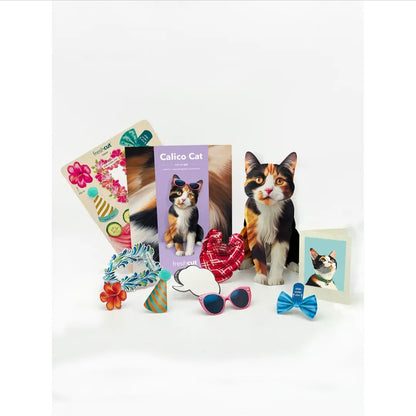 Card ~ Calico Cat w/accessories pop up card