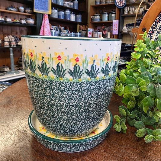 G45 ~ Flower Pot with Drip Plate 6"    G45-2777Q  Daffodil pf0526