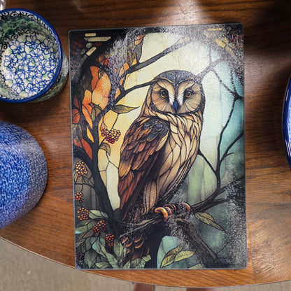 Cutting Board: Owl Charcuterie / Serving Tray: 8x11 Inch  Tempered Glass   *** NOT Polish Pottery ***