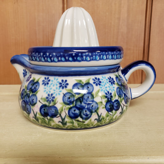 Juicer Blue Berries (2 pc)