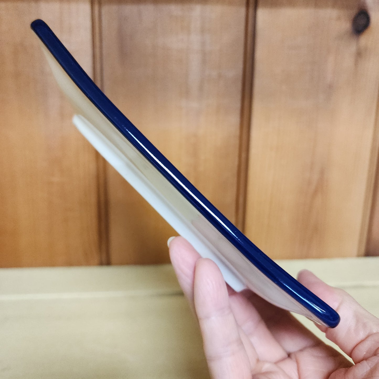 tray ~ 7"x 4.5" U5131 ~ U4 ~ T. Liana